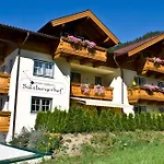 Lägenhet Salzburgerhof Flachau